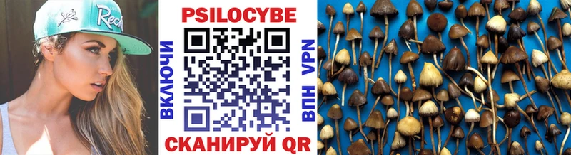 Галлюциногенные грибы Cubensis  Облучье 